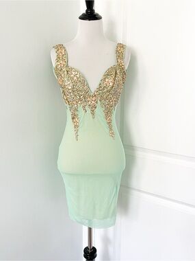 Holt Miami Hand Painted Mint Green Mini Dress with Gold Embellished Bodice